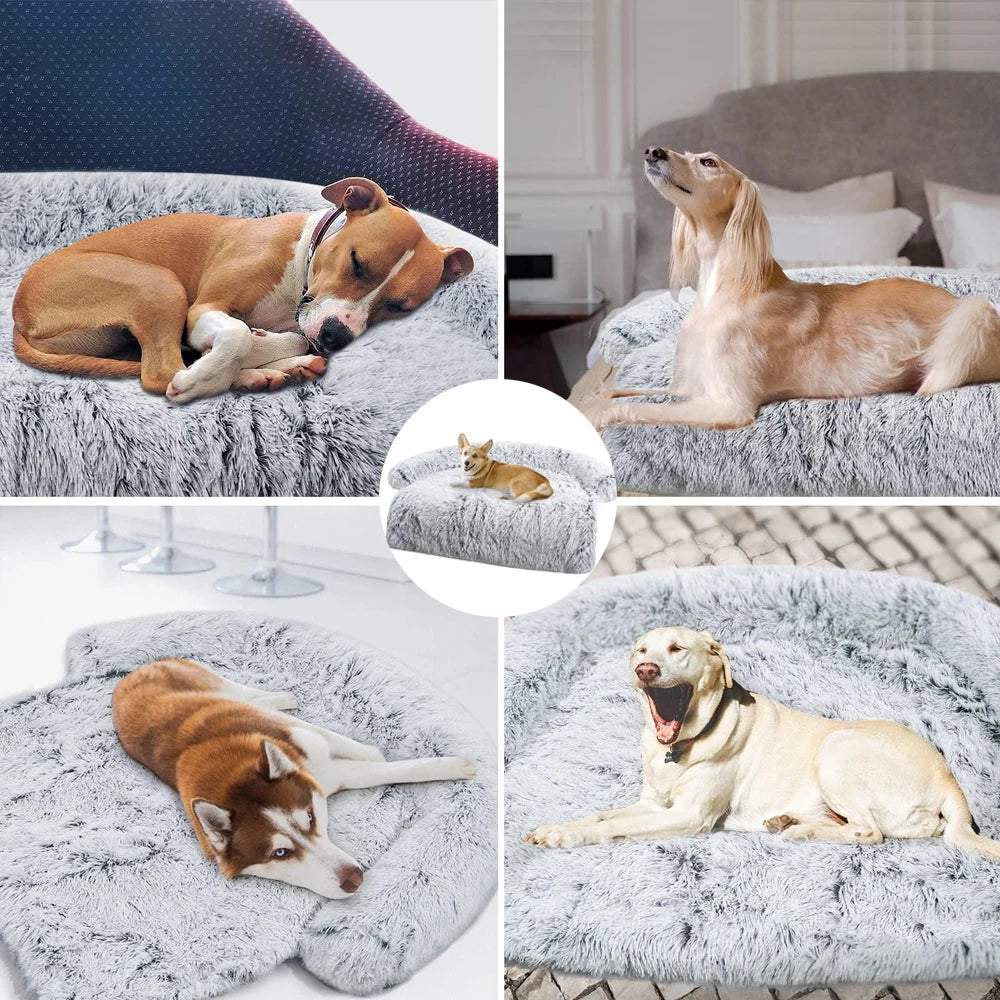 Haustier Kuschelbett