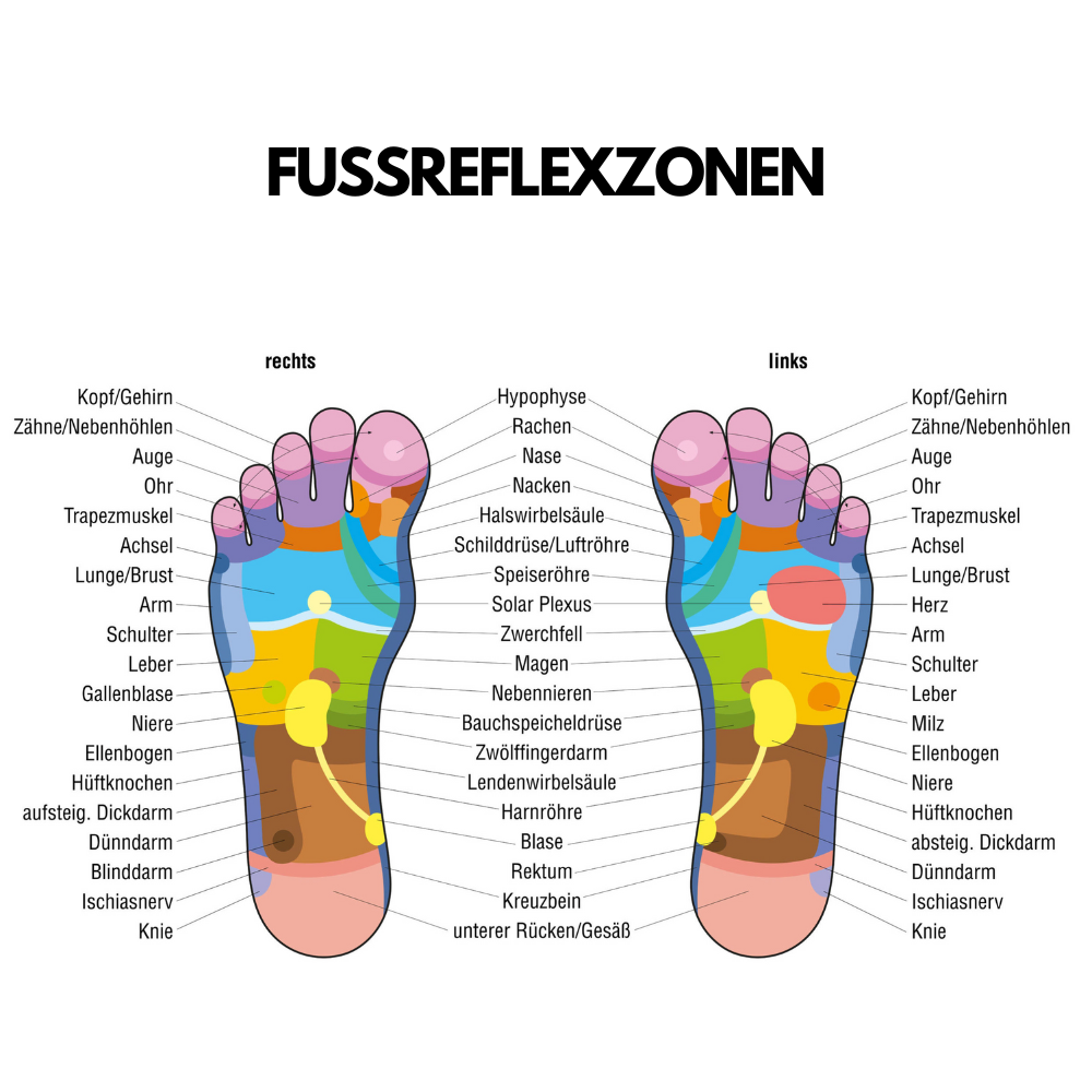 Massage Slipper + Handreflexzonen-Massage-Handschuhe Gratis (Wert 19,99€)