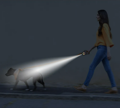 LED-Hundeleine